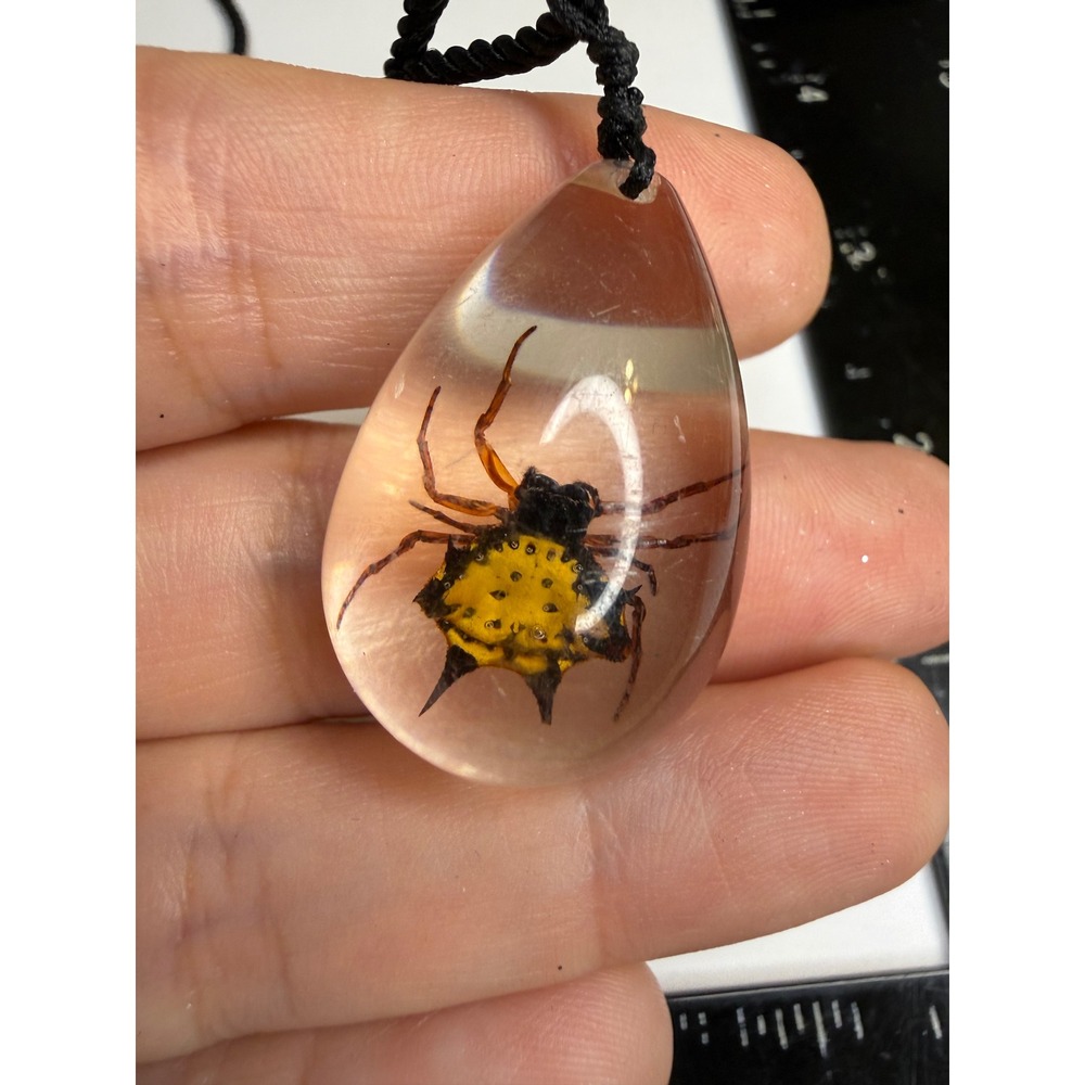 Real Spiny Orb Weaver Spider Resin Teardrop Pendant Necklace Yellow Black Oddity